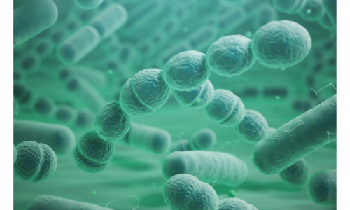 Course: Recognising the Patient with Sepsis (coming soon)