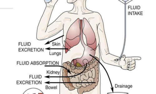 Intravenous Therapy Clinical Therapy
